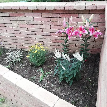 Gæstehus Balaca Panzio Veszprém